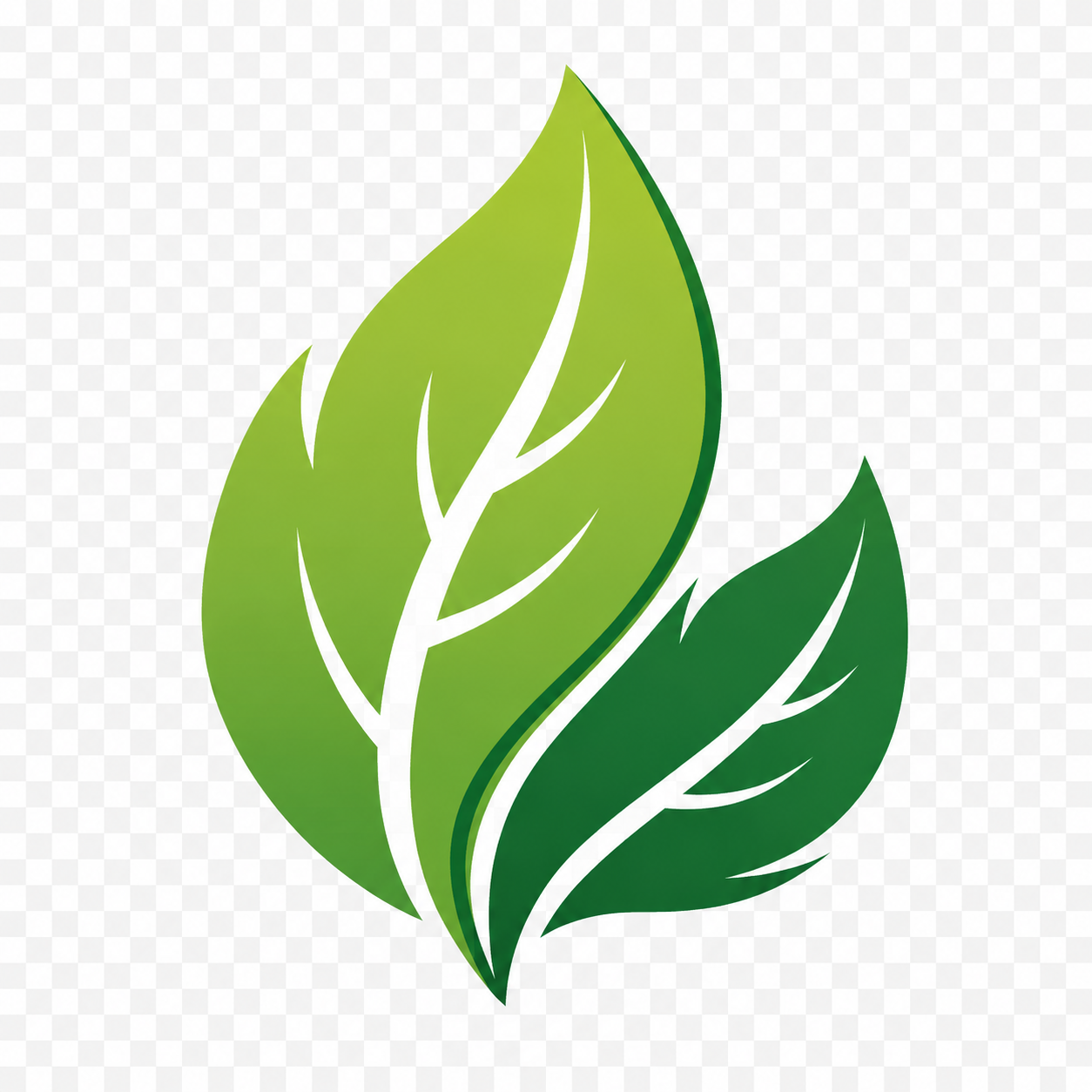 FemiCore Review – elitereviewcenter.online